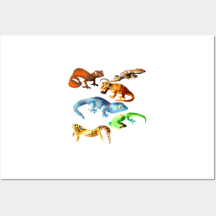 Gecko Galore Posters and Art